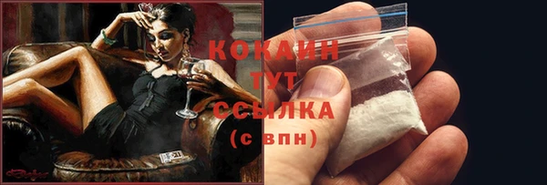 гашик Горняк