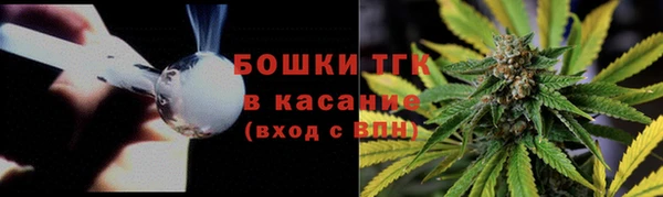 гашик Горняк
