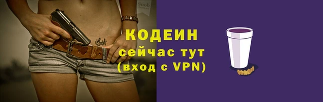 гашик Горняк