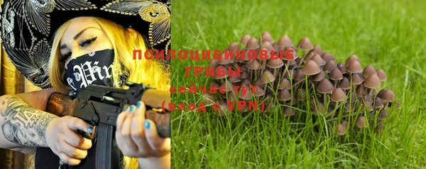 гашик Горняк