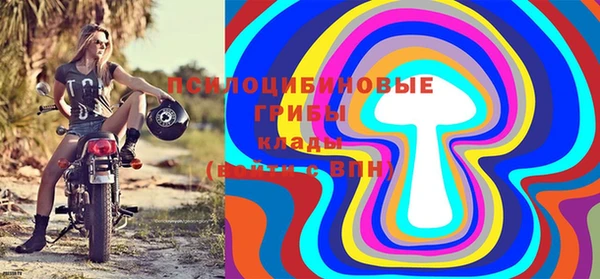 гашик Горняк