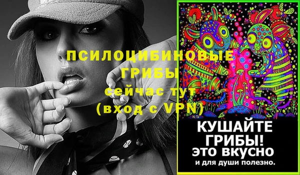 гашик Горняк