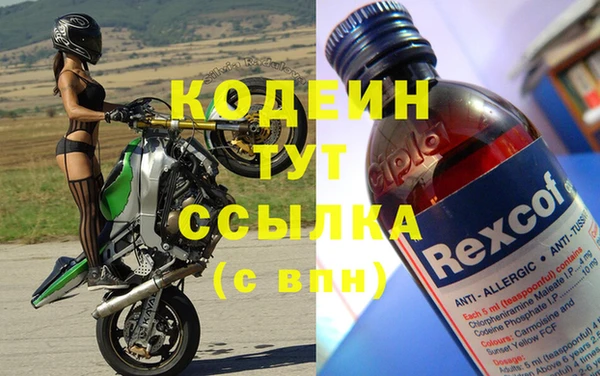 гашик Горняк