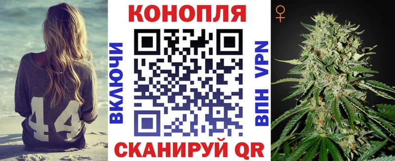 Бошки марихуана сатива  купить наркотики сайты  Инсар 